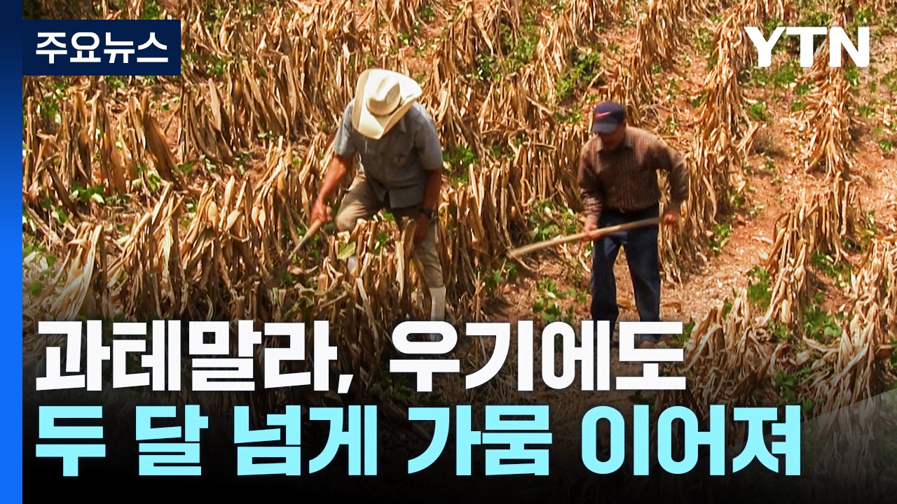 최악 가뭄에 마실 물까지 걱정...타들어 가는 농심 / YTN