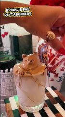 Découvez Mes Astuces Food & Voyage Quotidiennes 🍽️✈️