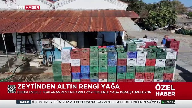 Zeytinyağı üretiminde taş baskı geleneği yaşatılıyor