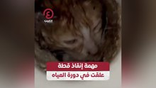 مهمة إنقاذ قطة علقت في دورة المياه