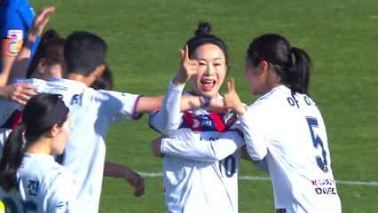 수원FC 위민, WK리그 정상 등극...1·2차전 합계 3：2 승리 / YTN