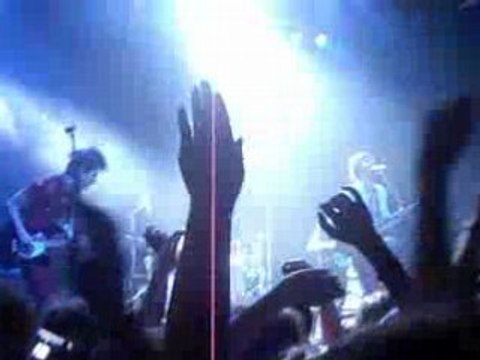 Confusions printanieres BB Brunes cigale paris 23/04