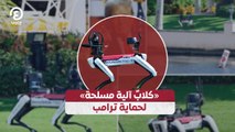 «كلابٌ آلية مسلحة» لحماية ترامب