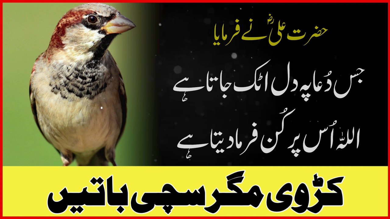 Zindagi Ki Tabahi Ka Sabab Ban'nay Wali 3 Cheezen | Urdu Quotes