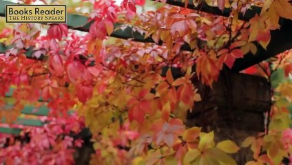 12 Of The Most Important Cities In History - And Why They Fell From The Top