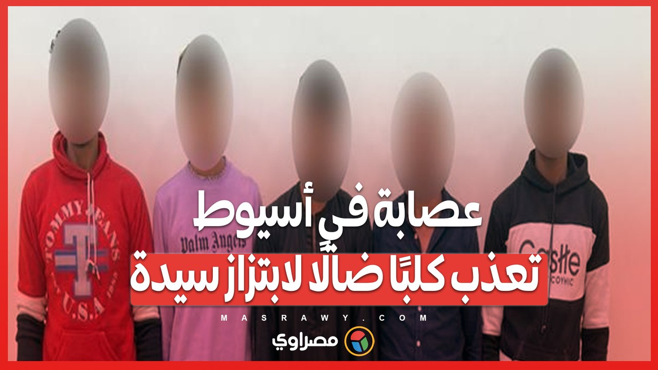 حادثة تعذيب كلب ضال في أسيوط تثير غضبًا واسعًا .. ما الذي دفع العصابة لهذا الفعل؟