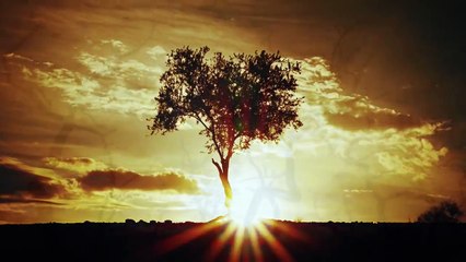 Jesus Capitulo 173 En Español Latino-HD