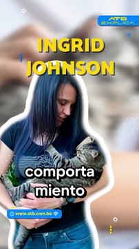 ¿Por qué a los gatos no les gustan los ambientes cerrados?