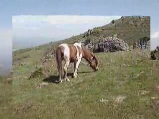 Balade vers la Rhune