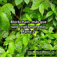 |HABIB ARIEL CORIAT HARRAR | BLOCKCHAIN Y EL FUTURO DE LA SALUD DIGITAL (PARTE 2) (@HABIBARIELC)