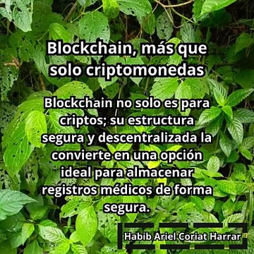 |HABIB ARIEL CORIAT HARRAR | BLOCKCHAIN, MÁS QUE SOLO CRIPTOMONEDAS (PARTE 1) (@HABIBARIELC)