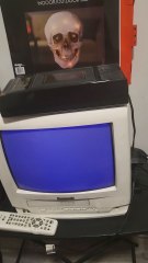 opening to the swan princess