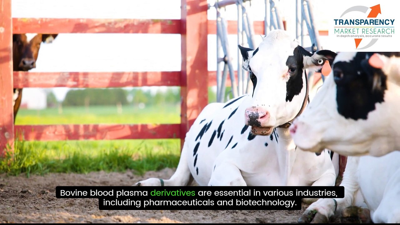 Bovine Blood Plasma Derivatives Market: Trends, Growth, and Future Outlook