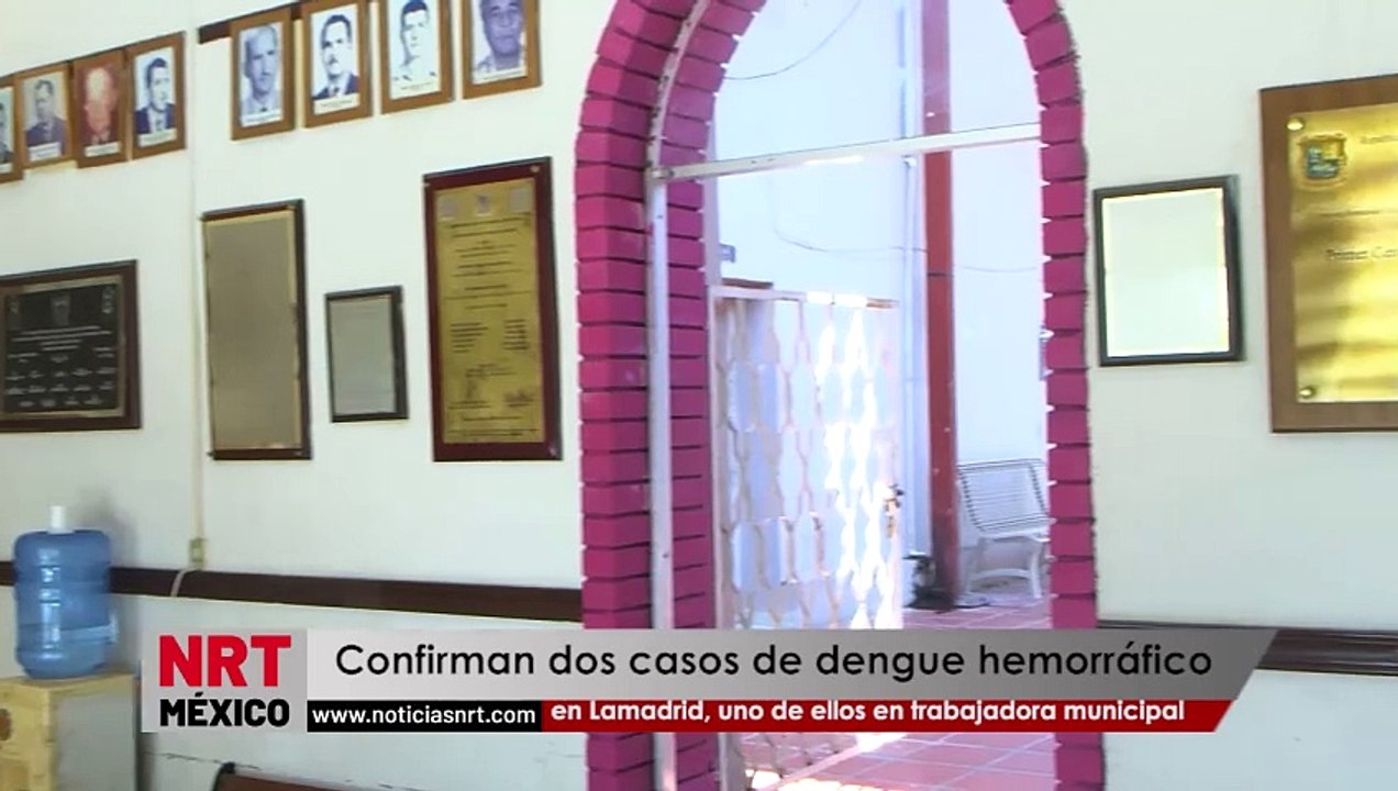 Confirman dos casos de dengue hemorrágico en La...