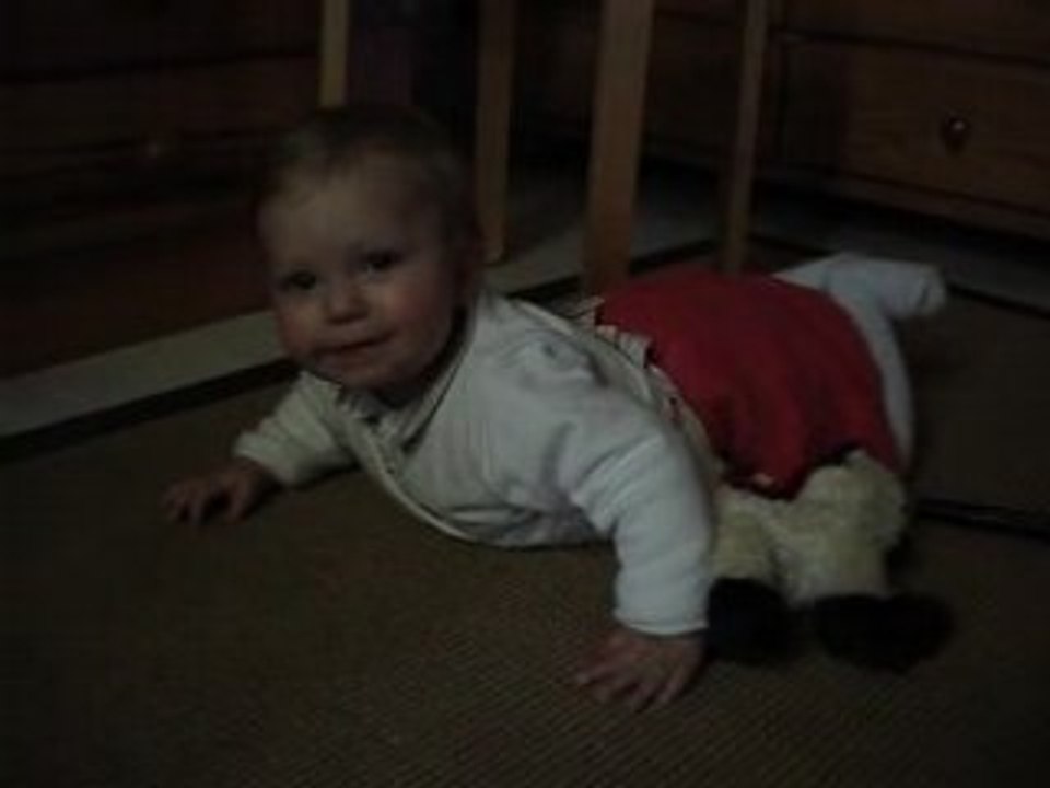 Mes débuts de quatre-pattes