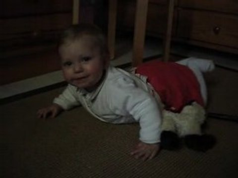 Mes débuts de quatre-pattes