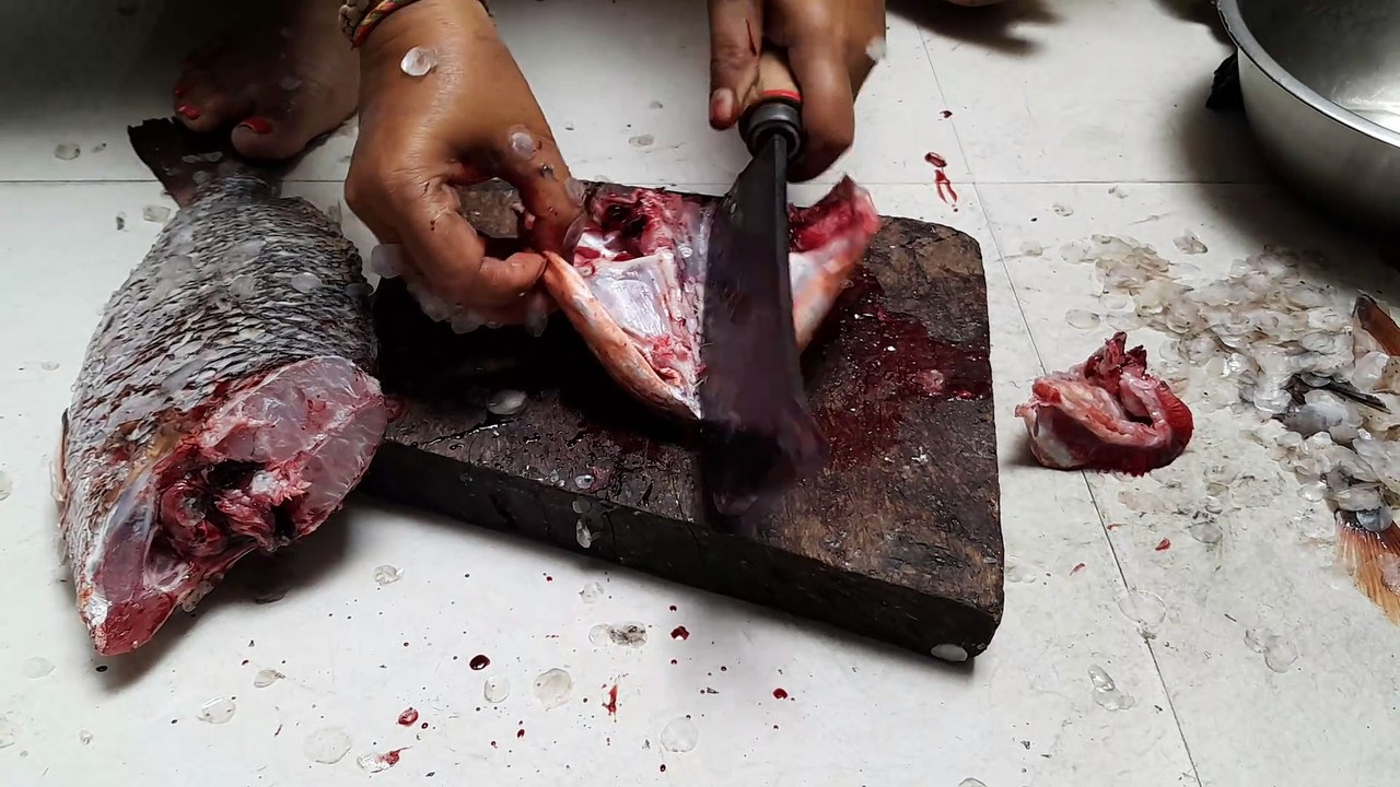 How to Clean and Cut a Northern Red Snapper Fish at Home