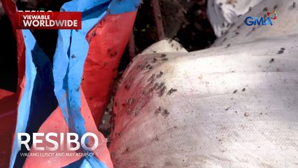 Nakakabahalang amoy patay sa San Jose Del Monte, Bulacan | Resibo