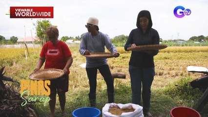 Kara Davud at Wilma Doesnt, nagpaligsahan sa pagtatahip ng palay | Pinas Sarap