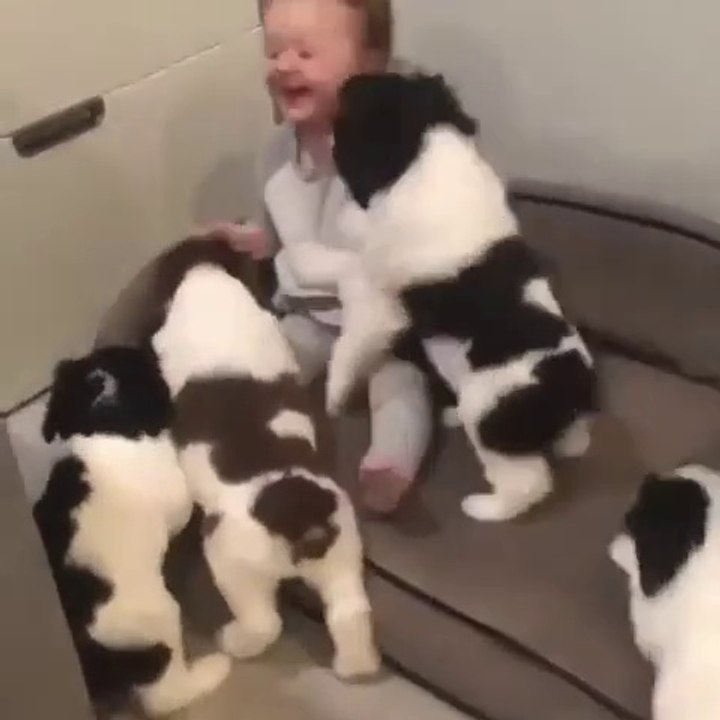 A cute baby are playing with puppy