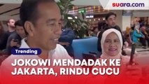 Jokowi Mendadak ke Jakarta Rindu Cucu, Warganet: Lihat Cucu Atau Ada Agenda Lain?