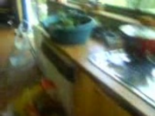 Kets house