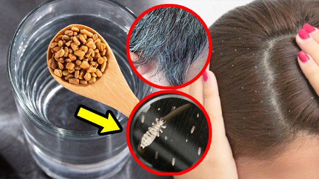 Methi Ke Pani Se Hair Growth Hota Hai, मेथी के पानी से बाल धोने के फायदे.. | Boldsky