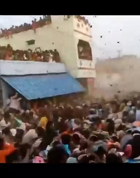 Bataille de bouse de vache... fête régionale très bizarre