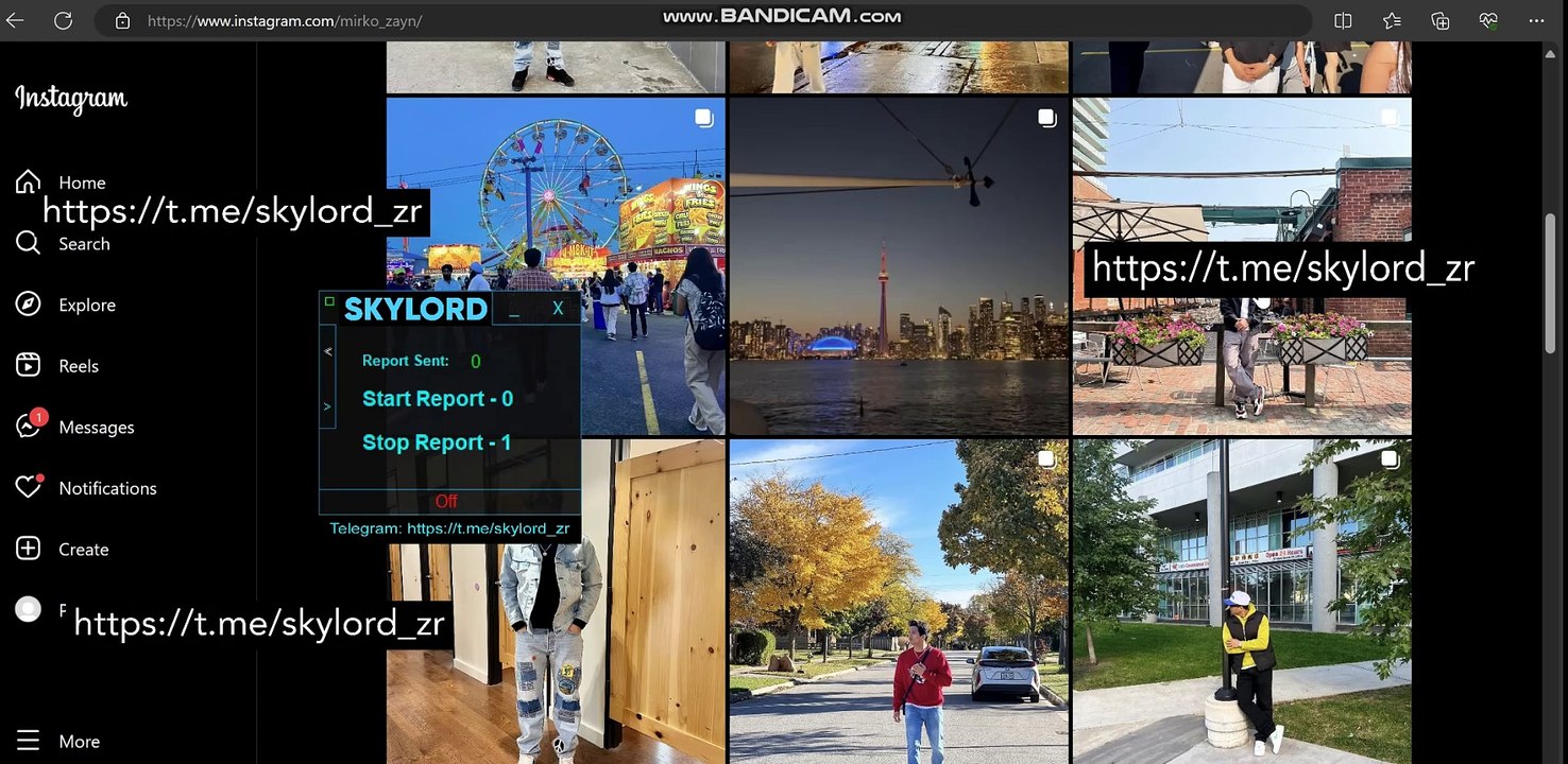 INSTAGRAM MASS REPORT BOT