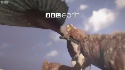 Greatest Fights In The Animal Kingdom