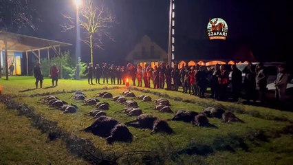 Hungarian Hunt Closing Ceremony for Deer & Boar | Ungarische Drückjagd | Nagyvad társas vadászat