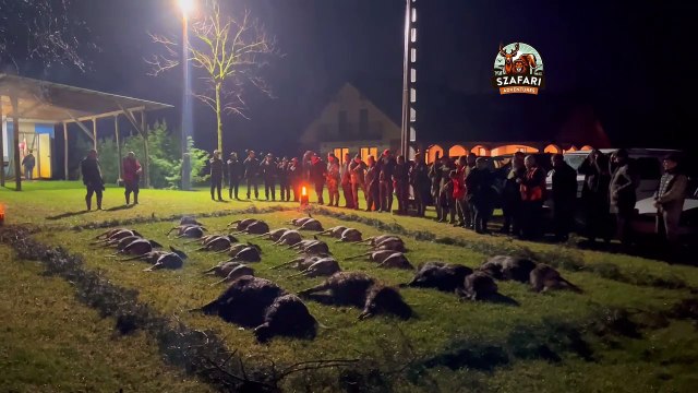 Hungarian Hunt Closing Ceremony for Deer & Boar | Ungarische Drückjagd | Nagyvad társas vadászat