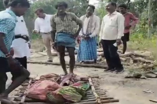 11 हाथियों ने मासूम भाई-बहन को कुचलकर मार डाला, 2 बच्चों को लेकर भागे माता-पिता, तीसरे ने छिपकर बचाई जान