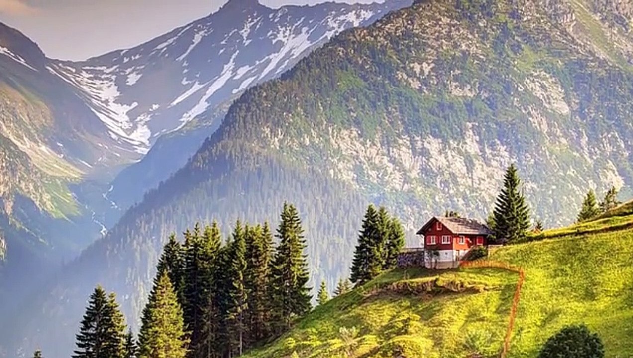 Puiu Nastase-Spune,spune,mos batran