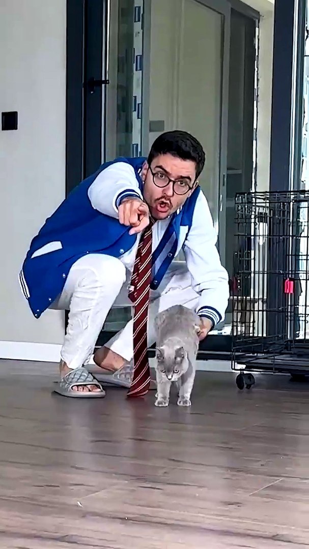 Cat and Domino ❤️🐈😢 #cats #cat