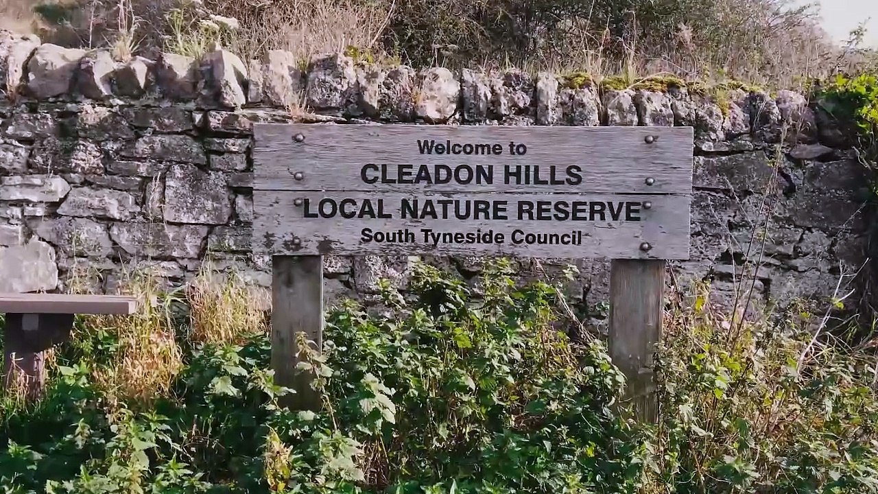 Artist creates 300ft high poppy set against the Northern Lights near Yorkshire for Remembrance Day