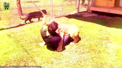 These Animals Reunited With Owners After Years !#HeroAnimals #AnimalsThatSave
