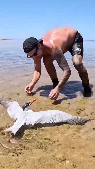 extreme heat and conditions take a pretty heavy toll on birds this time of year, this little fel_