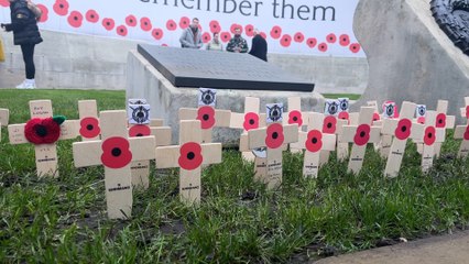 Manchester Remembers: Honoring Heroes on Remembrance Day 🇬🇧