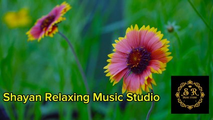 Soothing stress relief music for headache relief