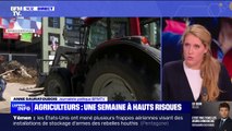 Mouvements sociaux: quelles sont les revendications des agriculteurs?