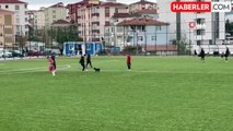 Futbol Antrenmanına Yavru Köpek Damgasını Vurdu