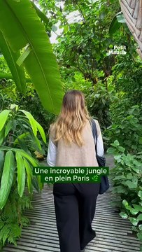 Découvrez les Grandes Serres du Jardin des Plantes à Paris, un véritable écrin de biodiversité ! 🌿 Actuellement, ces serres abritent une incroyable variété de plantes exotiques et tropicales, offrant une immersion dans des écosystèmes fascinants. 🌺