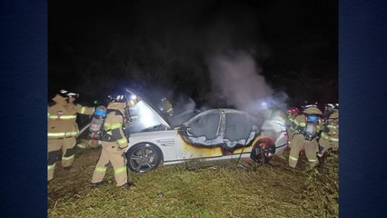 충남 서산서 강도살인 후 차량 불태운 40대 검거 / YTN