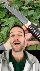 La CULTURE japonaise et ses RICHESSES