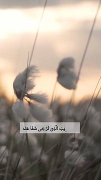 Maula Ya Salli Wa Sallim -You said: SEO friendly tiktok hashtag maula ya salli wa sallim 😍 emotional nasheed with cute