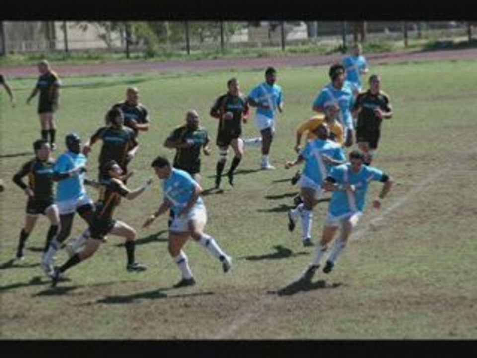 Marseille rcch 2008 chiens poubelle