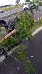 Motorista de Audi bate em carros estacionados na Linha Verde e foge