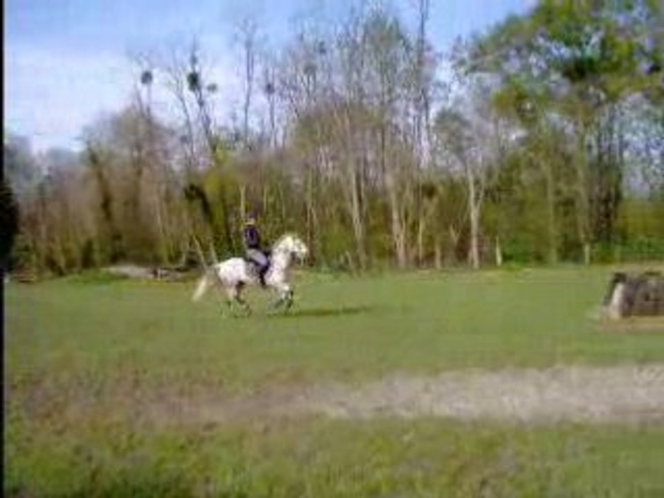 Vidéos cross kerria 005