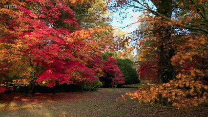 Countryfile - Westonbirt at Autumn